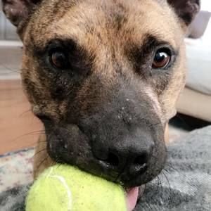 Meet your Posher, Jesse